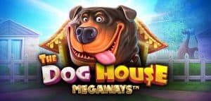 Dog House Megaways: Petualangan Seru di Dunia Slot!