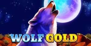 Wolf Gold: Serunya Bermain Slot dengan Jackpot Besar!