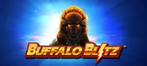 Petualangan Seru Bersama Buffalo Blitz di Hutan Liar