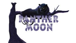 Serunya Petualangan Malam Bersama Panther Moon Playtech